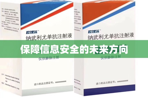 长春保障信息安全的未来方向