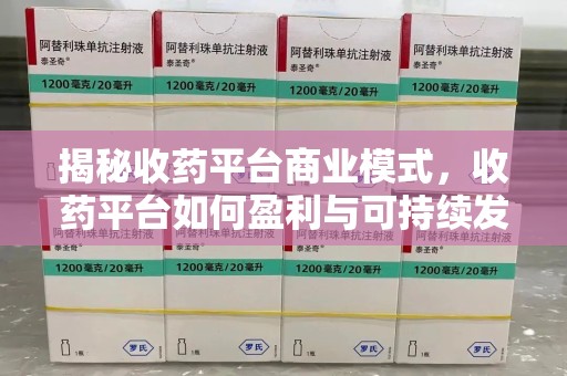 长春揭秘收药平台商业模式，收药平台如何盈利与可持续发展之路