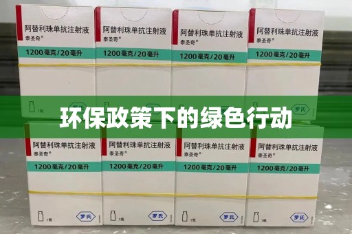 长春环保政策下的绿色行动