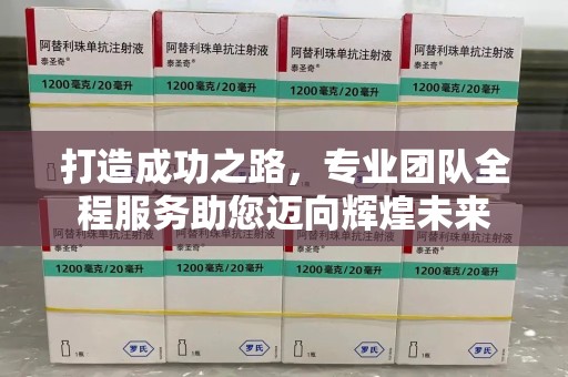 长春打造成功之路，专业团队全程服务助您迈向辉煌未来