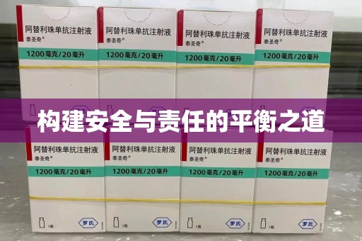 长春构建安全与责任的平衡之道