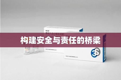 长春构建安全与责任的桥梁