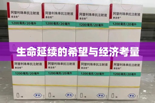 长春生命延续的希望与经济考量