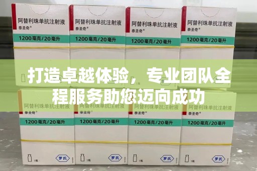 长春打造卓越体验，专业团队全程服务助您迈向成功
